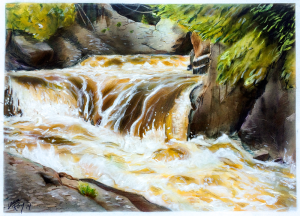waterfallbwcaw