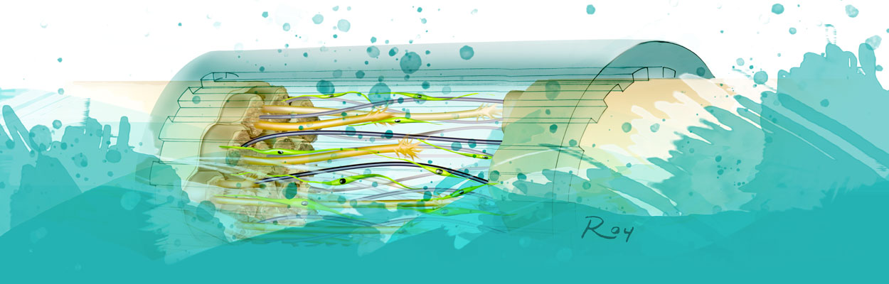 Roy Illustration Questions and Answers Conduit Banner