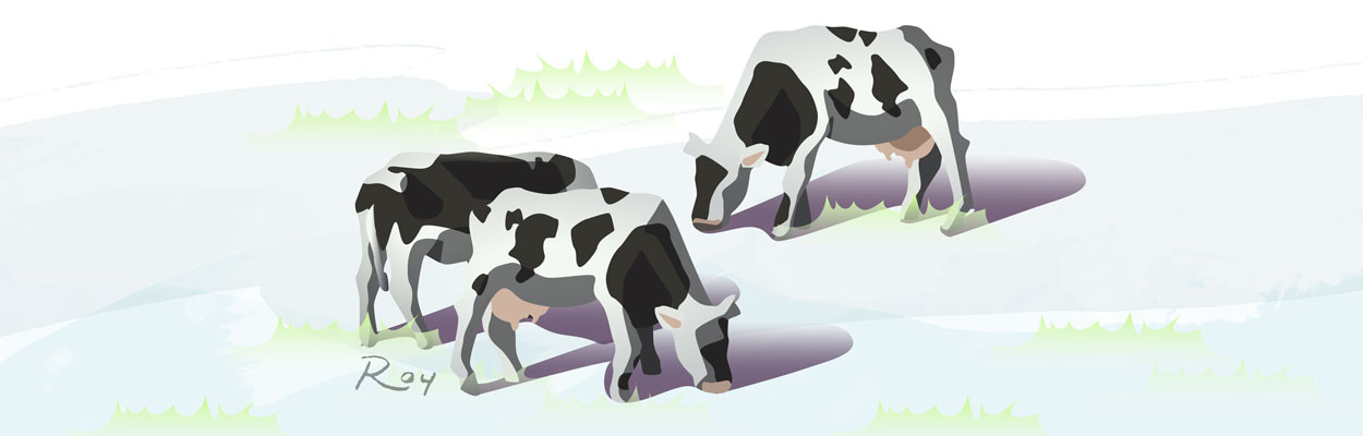 Roy Illustration Grazing Cattle Vector